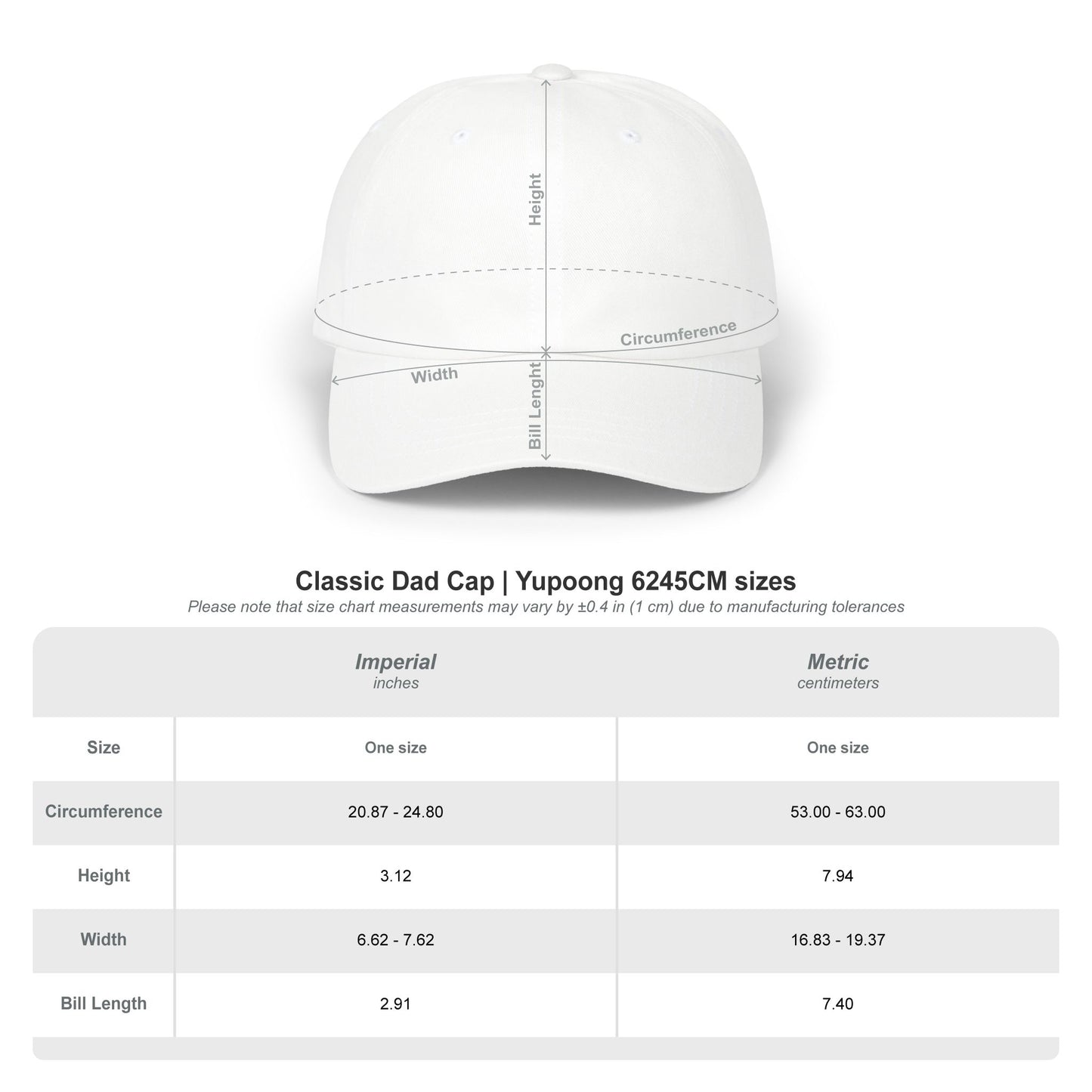Faith Dad Cap — 'faith.' Front with Heb 11:1 Back Embroidered Baseball Hat